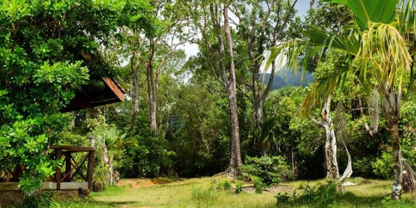 National Public Holidays in Seychelles - Inside Seychelles