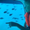 Semi-Submarine Seychelles - Image 2