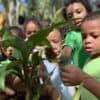 Montessori International School Seychelles - Image 3